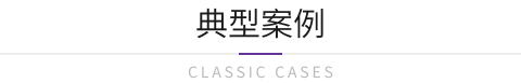 典型案例